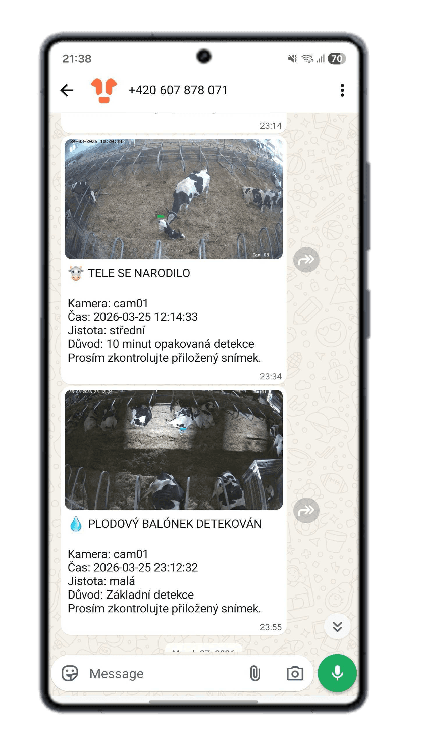 Upozornění na telení přes WhatsApp na telefonu