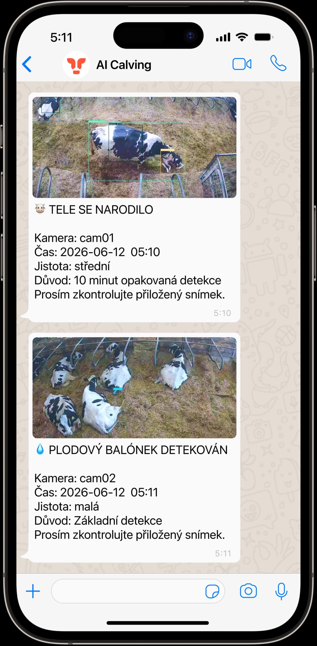 Upozornění na telení přes WhatsApp na telefonu